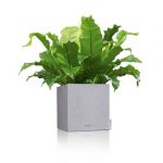 CANTO Stone 30 low stone grey