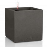 CANTO Stone 40 Low Graphite Black