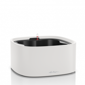 Lechuza PILA Color Stick Light Grey