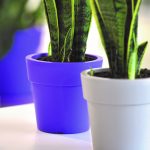 Viomes Linea Στρογγυλές Χαμηλές