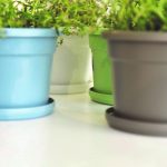 Πιάτο Για Γλάστρα Viomes Cylindro