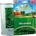 Γκαζόν Διχόνδρα (τριφύλλι)