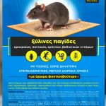 Παγίδες Ξύλινες Με Κόλλα 17.5 x 27.5 Cm Για Τρωκτικά Μεγάλη