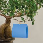 Χρωμοτροπικές Μπλε - Παγίδες Εντόμων 10 x 23 Cm