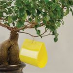 Χρωμοτροπική Κίτρινη - Παγίδα Εντόμων 10 x 23 Cm (10 τεμ)