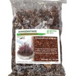 Διακοσμητικός Φλοιός Πεύκου 20-40 mm 10 L