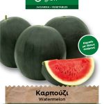 Καρπούζι μικρόκαρπο