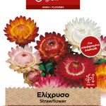 Ελίχρυσο διπλό μίγμα