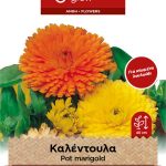 Καλέντουλα διπλή μίγμα