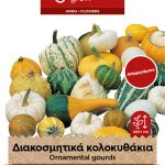 Διακοσμητικά κολοκυθάκια μίγμα