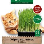 Χόρτο για γάτες