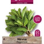 Μέντα
