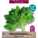 Μελισσόχορτο