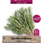 Δενδρολίβανο