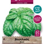 Βασιλικός πλατύφυλλος