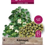 Κάπαρη