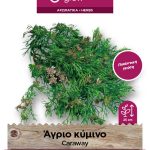 Άγριο κύμινο