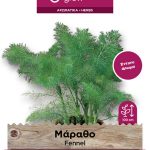 Μάραθο άγριο