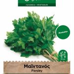 Μαϊντανός γίγας