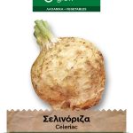 Σελινόριζα κλασική