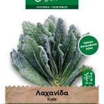 Λαχανίδα