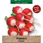 Ραπάνι μικρό στρογγυλό δίχρωμο