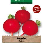 Ραπάνι γίγας κόκκινο