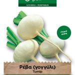 Ρέβα (γογγύλι) λευκή