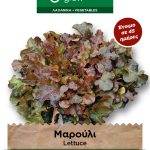 Μαρούλι κατσαρό κόκκινο