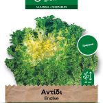 Αντίδι κατσαρό κοντό