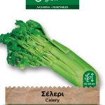 Σέλερι κλασικό