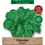 Σπανάκι γίγας