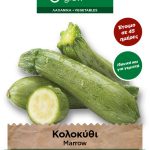 Κολοκύθι γεμιστό Bolognese