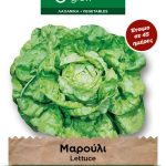 Μαρούλι σαλάτα