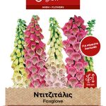 Ντιτζιτάλις μίγμα