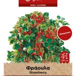 Φράουλα αναρριχώμενη