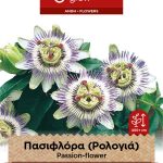 Πασιφλόρα (Ρολογιά) αναρριχώμενη