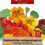 Καπουτσίνο αναρριχώμενο μίγμα