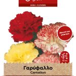 Γαρύφαλλο διπλό μίγμα