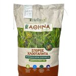 Σπόρος Χλοοτάπητα ΑΘΗΝΑ 5kg