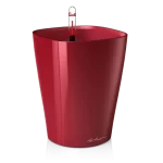 Lechuza DELTINI Scarlet red high-gloss