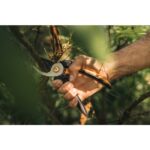 Κλαδευτήρι Solid Bypass P341 - FISKARS - Image 3