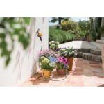 Χρονοδιακόπτης μηχανικός - HOZELOCK - Image 3