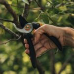 Κλαδευτήρι Solid Bypass P321 - FISKARS - Image 4