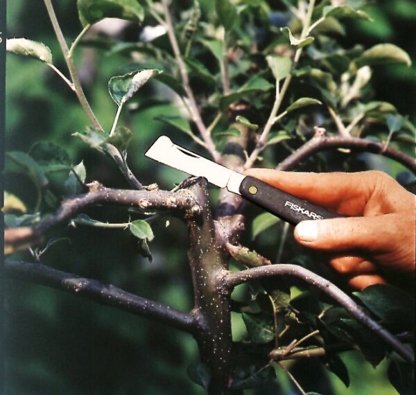 Σουγιάς κήπου ίσιος K60 - FISKARS - Image 4