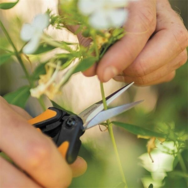 ΚΛΑΔΕΥΤΗΡΙ ΛΟΥΛΟΥΔΙΩΝ SOLID SP13 - FISKARS - Image 4